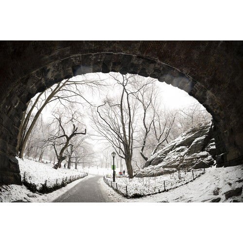 Sigma 15mm F1.4 DG DN DIAGONAL BALIK GÖZÜ | ART (Leica L)