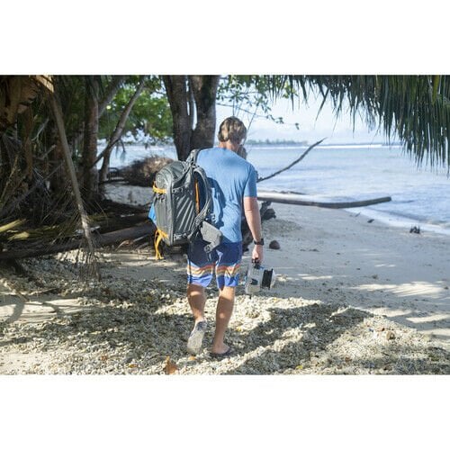 Lowepro Whistler BP 450 AW II (GREY)