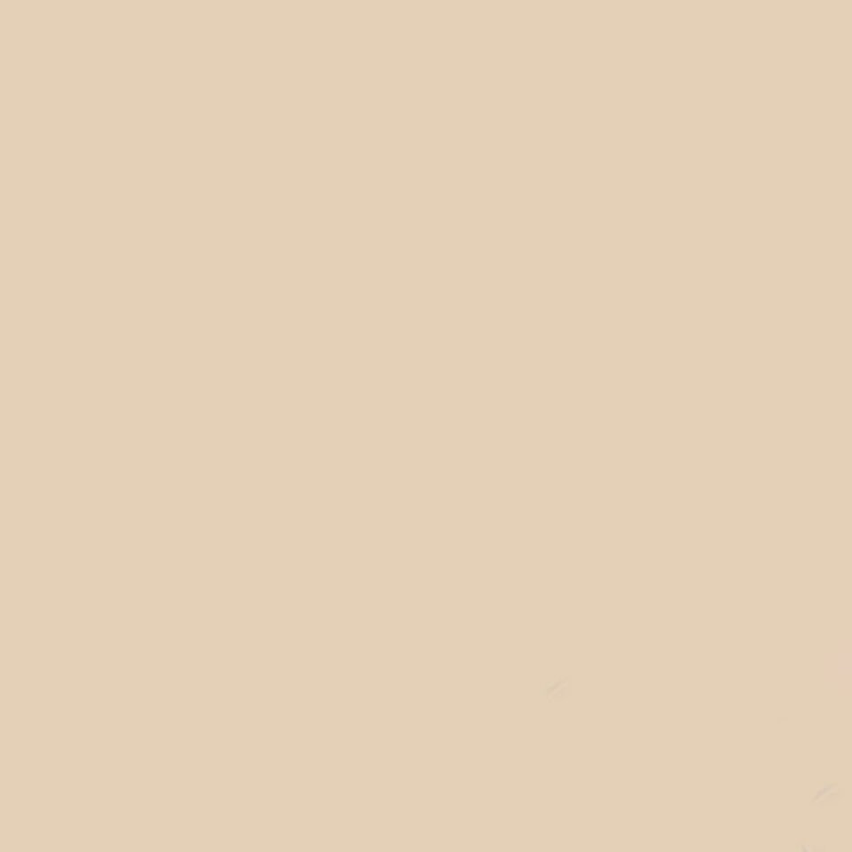 GDX Kağıt Sonsuz Stüdyo Fon Perde (Egg Nog) 2.70x11 Metre