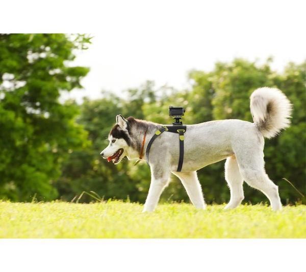 Sony AKA-DM1 Köpek Bağlantı Aparatı