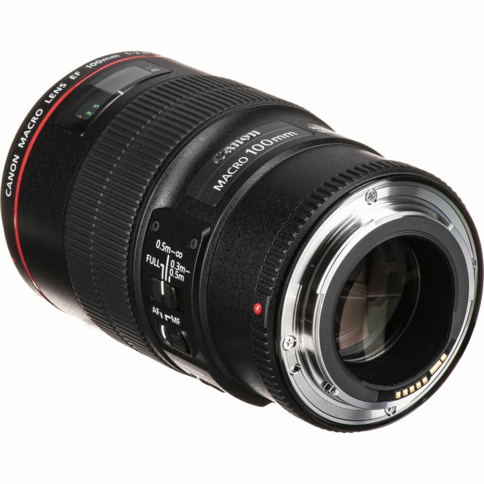 Canon EF 100mm F2.8 L IS USM Macro Lens
