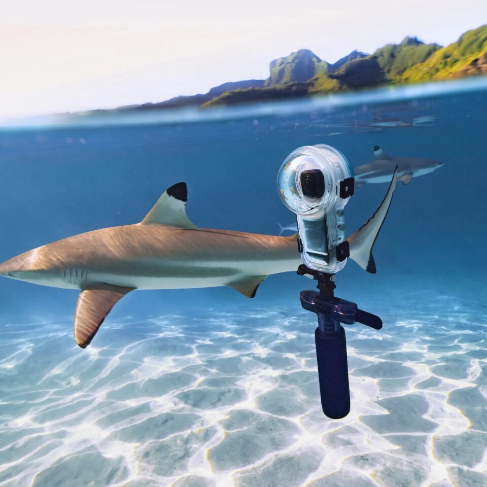 Insta360 X Series Dive Buddy
