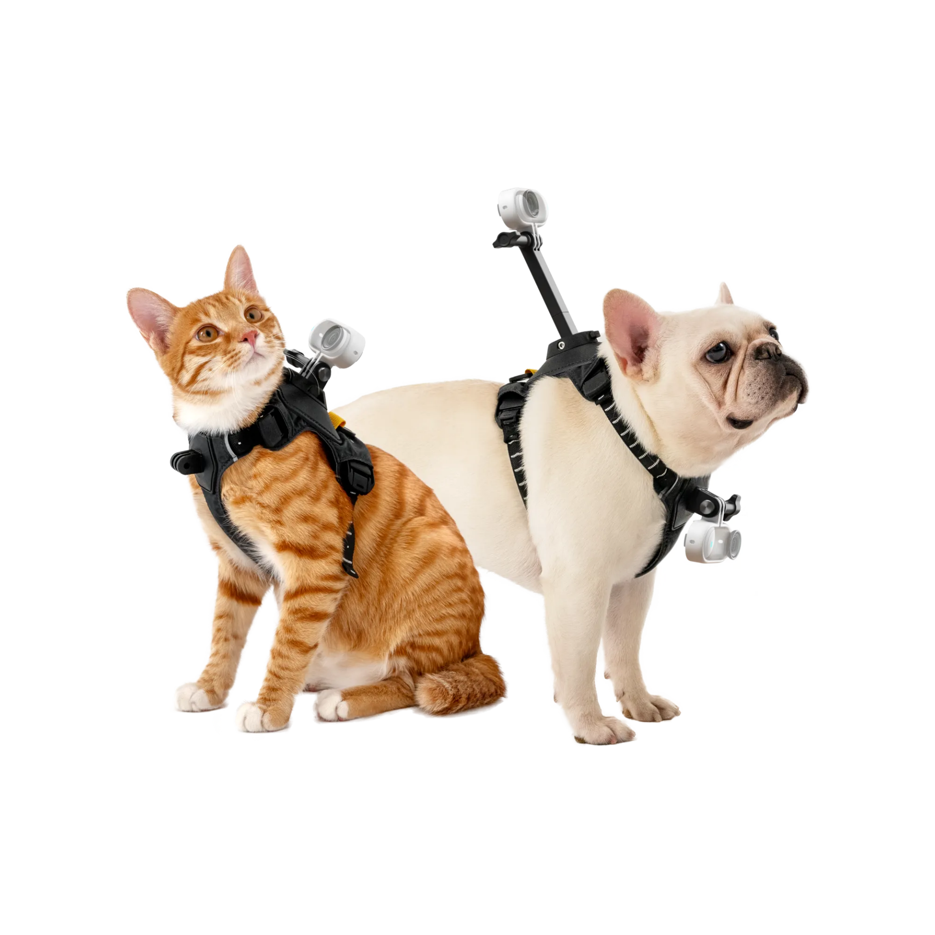 Insta360 Pet Harness Mount (Size M)
