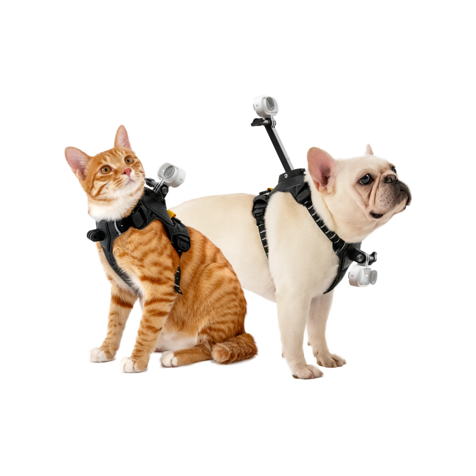 Insta360 Pet Harness Mount (Size M)