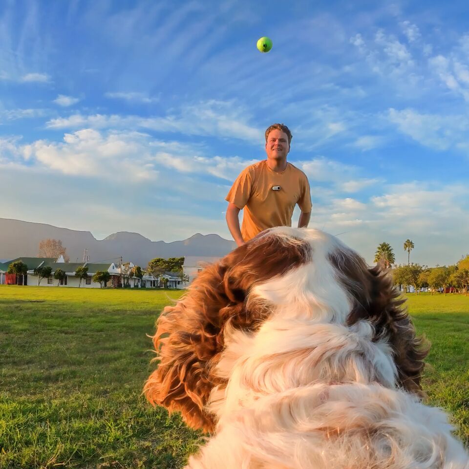 Insta360 Pet Harness Mount (Size M)