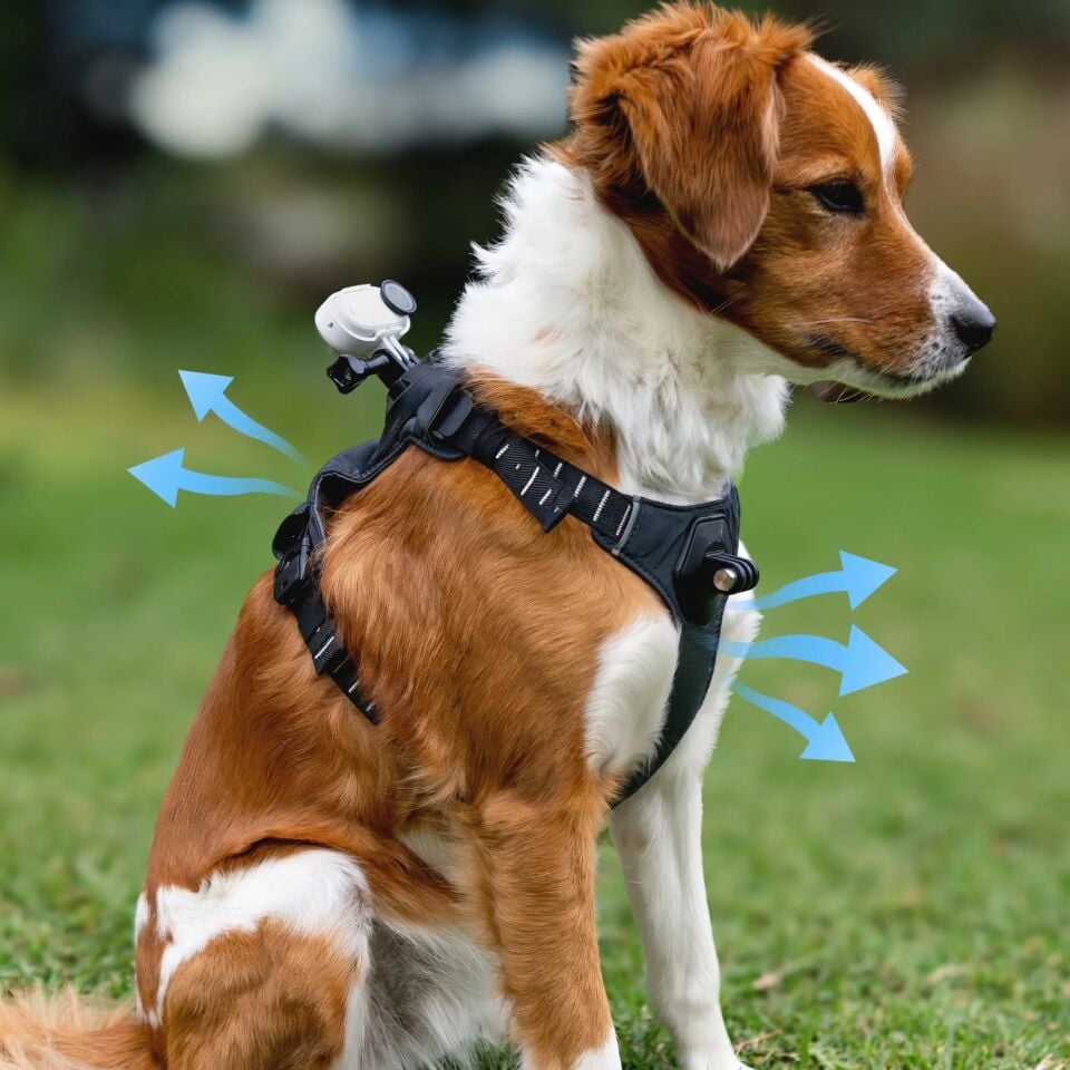 Insta360 Pet Harness Mount (Size M)