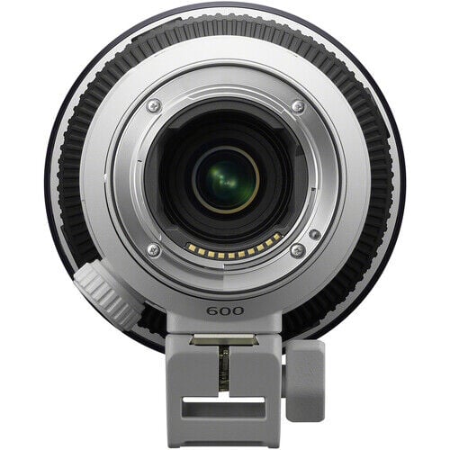 Sony FE 600mm F6.3 GM OSS Lens