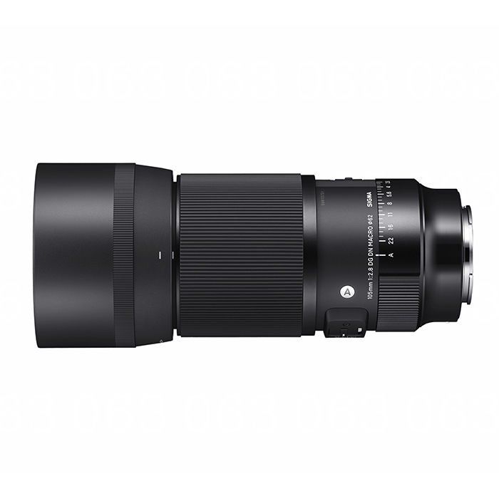 Sigma 105mm F2.8 DG DN Macro | Art (Sony E)