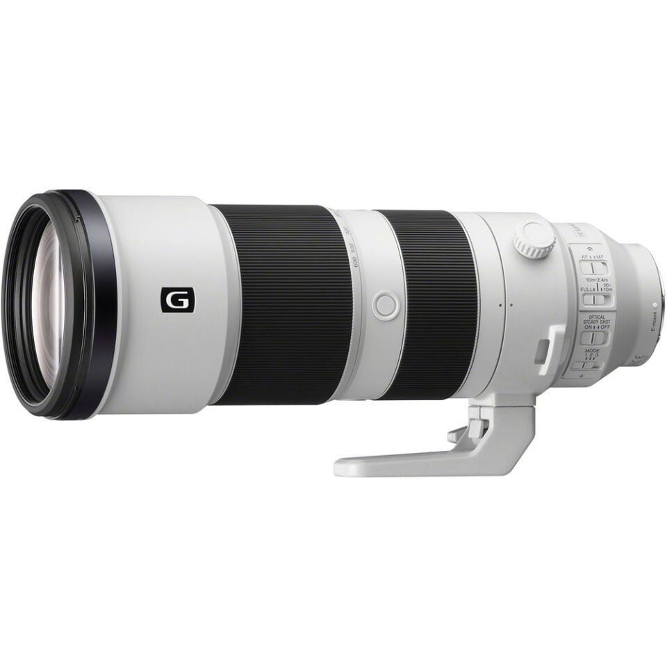 Sony a7R V Body + Sony FE 200-600mm f/5.6-6.3 G OSS Lens