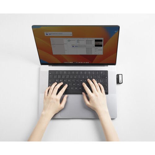 Lexar 1TB Professional Go USB 3.2 Gen 2 Taşınabilir SSD (Siyah)